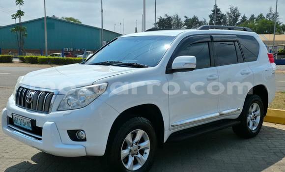 Tenga Tsaru Toyota Land Cruiser Prado Chena Mota in Maputo in Maputo Tenga Tsaru Toyota Land Cruiser Prado Chena Mota in Maputo in Maputo