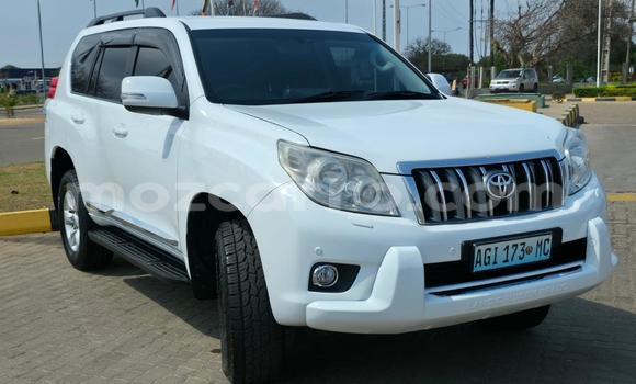 Tenga Tsaru Toyota Land Cruiser Prado Chena Mota in Maputo in Maputo Tenga Tsaru Toyota Land Cruiser Prado Chena Mota in Maputo in Maputo