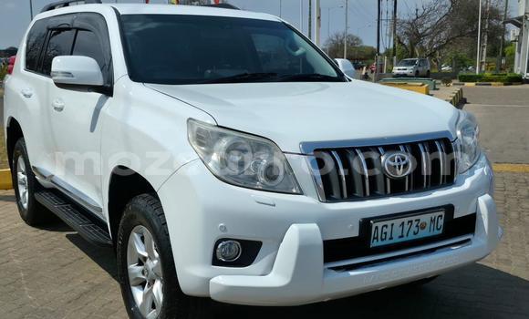 Tenga Tsaru Toyota Land Cruiser Prado Chena Mota in Maputo in Maputo Tenga Tsaru Toyota Land Cruiser Prado Chena Mota in Maputo in Maputo