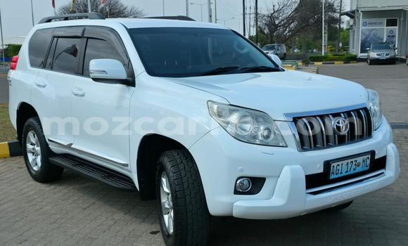 Tenga Tsaru Toyota Land Cruiser Prado Chena Mota in Maputo in Maputo Tenga Tsaru Toyota Land Cruiser Prado Chena Mota in Maputo in Maputo
