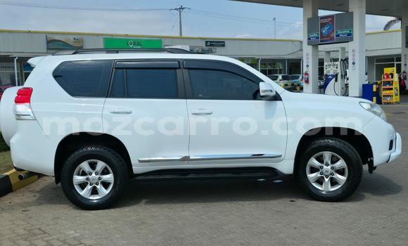 Tenga Tsaru Toyota Land Cruiser Prado Chena Mota in Maputo in Maputo Tenga Tsaru Toyota Land Cruiser Prado Chena Mota in Maputo in Maputo