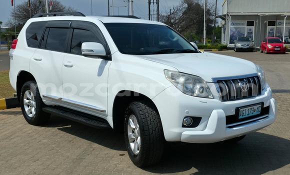 Tenga Tsaru Toyota Land Cruiser Prado Chena Mota in Maputo in Maputo Tenga Tsaru Toyota Land Cruiser Prado Chena Mota in Maputo in Maputo