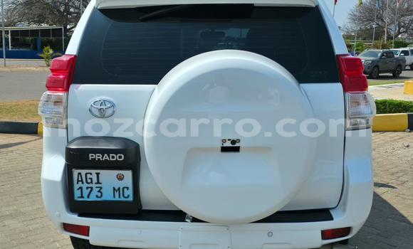 Tenga Tsaru Toyota Land Cruiser Prado Chena Mota in Maputo in Maputo Tenga Tsaru Toyota Land Cruiser Prado Chena Mota in Maputo in Maputo