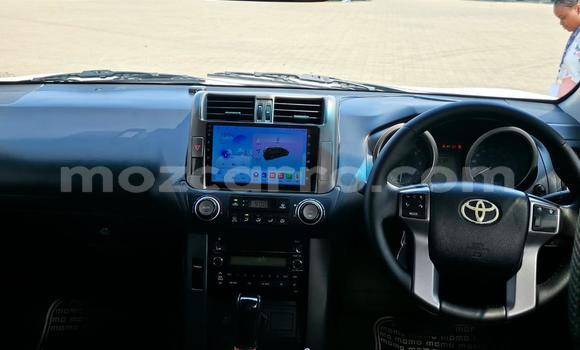 Tenga Tsaru Toyota Land Cruiser Prado Chena Mota in Maputo in Maputo Tenga Tsaru Toyota Land Cruiser Prado Chena Mota in Maputo in Maputo