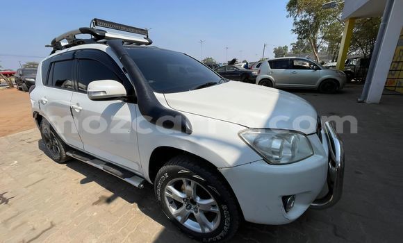 Nunua Ilio tumika Toyota RAV4 Nyeupe Gari ndani ya Maputo nchini Maputo