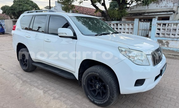 Tenga Tsaru Toyota Land Cruiser Prado Chena Mota in Maputo in Maputo Tenga Tsaru Toyota Land Cruiser Prado Chena Mota in Maputo in Maputo