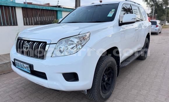 Tenga Tsaru Toyota Land Cruiser Prado Chena Mota in Maputo in Maputo Tenga Tsaru Toyota Land Cruiser Prado Chena Mota in Maputo in Maputo