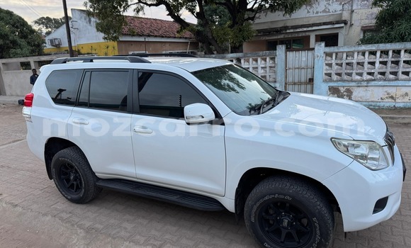Tenga Tsaru Toyota Land Cruiser Prado Chena Mota in Maputo in Maputo Tenga Tsaru Toyota Land Cruiser Prado Chena Mota in Maputo in Maputo
