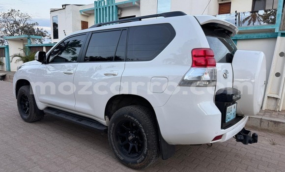 Tenga Tsaru Toyota Land Cruiser Prado Chena Mota in Maputo in Maputo Tenga Tsaru Toyota Land Cruiser Prado Chena Mota in Maputo in Maputo