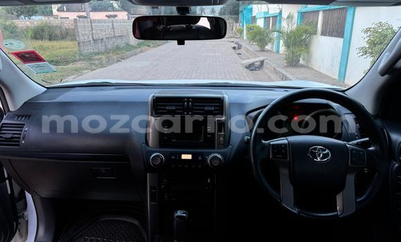 Tenga Tsaru Toyota Land Cruiser Prado Chena Mota in Maputo in Maputo Tenga Tsaru Toyota Land Cruiser Prado Chena Mota in Maputo in Maputo