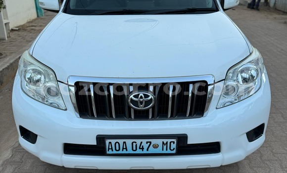 Tenga Tsaru Toyota Land Cruiser Prado Chena Mota in Maputo in Maputo Tenga Tsaru Toyota Land Cruiser Prado Chena Mota in Maputo in Maputo