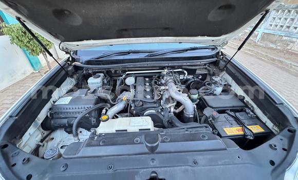 Tenga Tsaru Toyota Land Cruiser Prado Chena Mota in Maputo in Maputo Tenga Tsaru Toyota Land Cruiser Prado Chena Mota in Maputo in Maputo