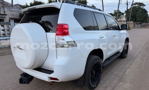 Tenga Tsaru Toyota Land Cruiser Prado Chena Mota in Maputo in Maputo Tenga Tsaru Toyota Land Cruiser Prado Chena Mota in Maputo in Maputo