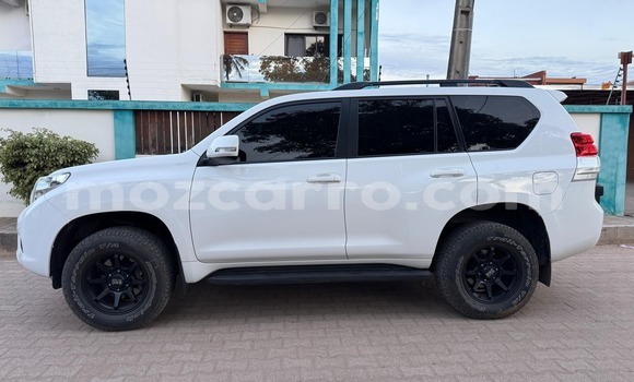 Tenga Tsaru Toyota Land Cruiser Prado Chena Mota in Maputo in Maputo Tenga Tsaru Toyota Land Cruiser Prado Chena Mota in Maputo in Maputo