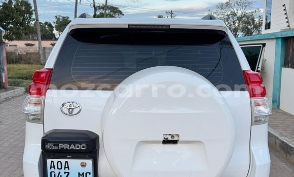 Tenga Tsaru Toyota Land Cruiser Prado Chena Mota in Maputo in Maputo Tenga Tsaru Toyota Land Cruiser Prado Chena Mota in Maputo in Maputo