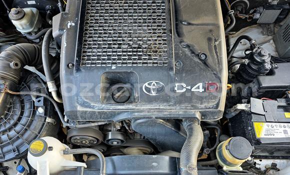 Nunua Mpya Toyota Hilux Nyeupe Gari ndani ya Maputo nchini Maputo Nunua Mpya Toyota Hilux Nyeupe Gari ndani ya Maputo nchini Maputo