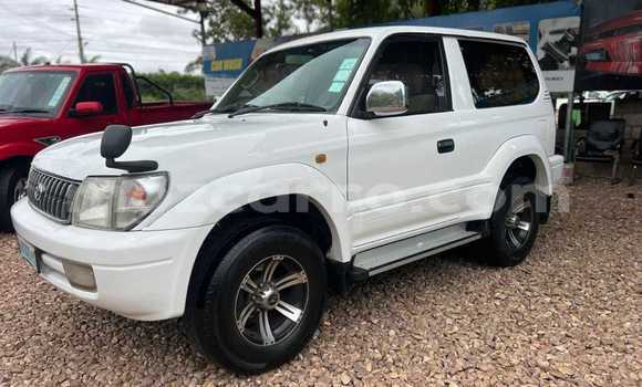 Buy Used Toyota Land Cruiser Prado White Car in Maputo in Maputo