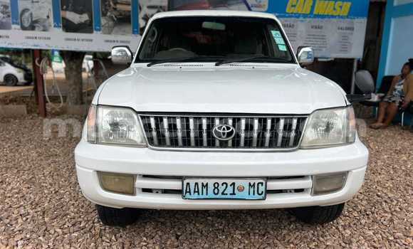 Tenga Tsaru Toyota Land Cruiser Prado Chena Mota in Maputo in Maputo Tenga Tsaru Toyota Land Cruiser Prado Chena Mota in Maputo in Maputo