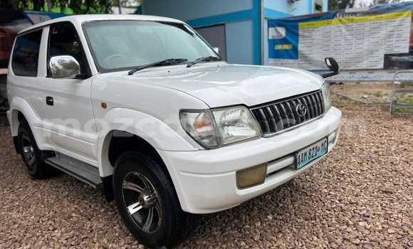 Tenga Tsaru Toyota Land Cruiser Prado Chena Mota in Maputo in Maputo Tenga Tsaru Toyota Land Cruiser Prado Chena Mota in Maputo in Maputo