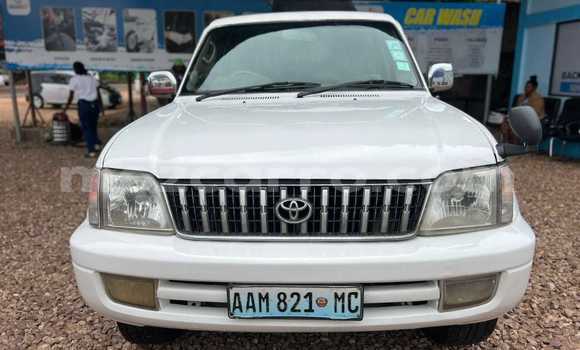 Tenga Tsaru Toyota Land Cruiser Prado Chena Mota in Maputo in Maputo Tenga Tsaru Toyota Land Cruiser Prado Chena Mota in Maputo in Maputo