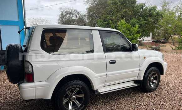 Tenga Tsaru Toyota Land Cruiser Prado Chena Mota in Maputo in Maputo Tenga Tsaru Toyota Land Cruiser Prado Chena Mota in Maputo in Maputo