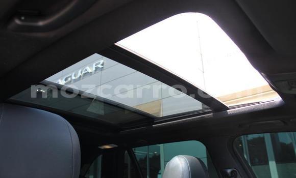 Buy Used BMW X5 White Car in Maputo in Maputo Buy Used BMW X5 White Car in Maputo in Maputo