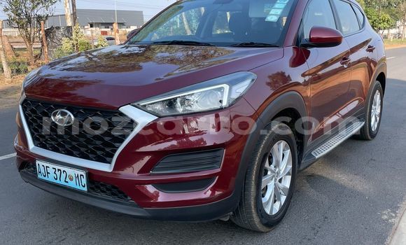 Buy Used Hyundai Tucson Red Car in Maputo in Maputo Buy Used Hyundai Tucson Red Car in Maputo in Maputo