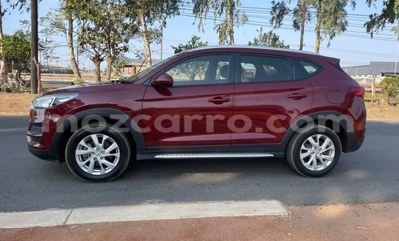 Buy Used Hyundai Tucson Red Car in Maputo in Maputo Buy Used Hyundai Tucson Red Car in Maputo in Maputo