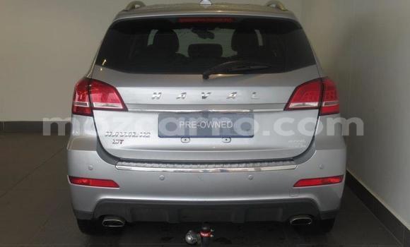 Tenga Tsaru Haval H2 Sirivha Mota in Gilé in Zambezia Tenga Tsaru Haval H2 Sirivha Mota in Gilé in Zambezia