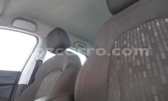 Tenga Tsaru Haval H2 Sirivha Mota in Gilé in Zambezia Tenga Tsaru Haval H2 Sirivha Mota in Gilé in Zambezia