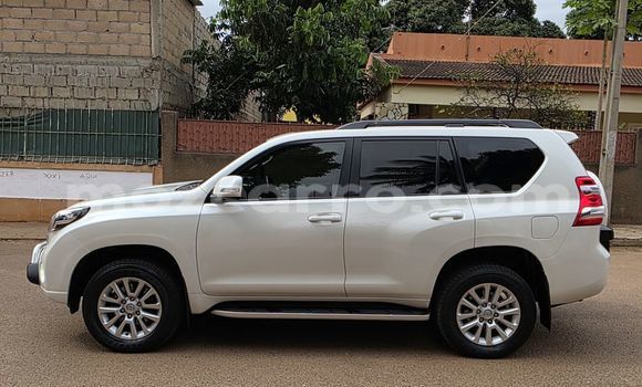 Buy New Toyota Land Cruiser Prado White Car in Maputo in Maputo Buy New Toyota Land Cruiser Prado White Car in Maputo in Maputo