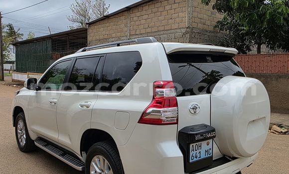 Buy New Toyota Land Cruiser Prado White Car in Maputo in Maputo Buy New Toyota Land Cruiser Prado White Car in Maputo in Maputo
