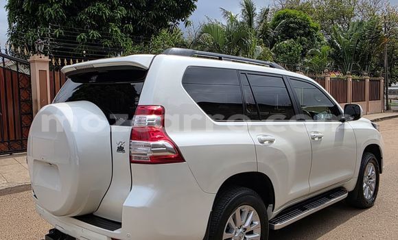 Buy New Toyota Land Cruiser Prado White Car in Maputo in Maputo Buy New Toyota Land Cruiser Prado White Car in Maputo in Maputo