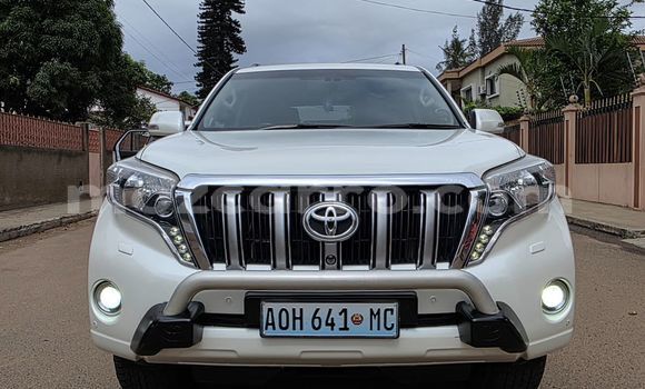 Buy New Toyota Land Cruiser Prado White Car in Maputo in Maputo Buy New Toyota Land Cruiser Prado White Car in Maputo in Maputo
