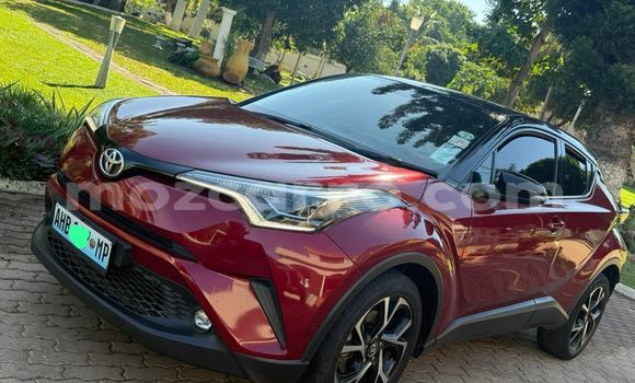 Tenga Itsva Toyota C-HR Tsvuku Mota in Maputo in Maputo