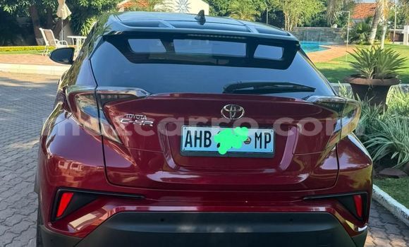 Nunua Mpya Toyota C-HR Nyekundu Gari ndani ya Maputo nchini Maputo Nunua Mpya Toyota C-HR Nyekundu Gari ndani ya Maputo nchini Maputo