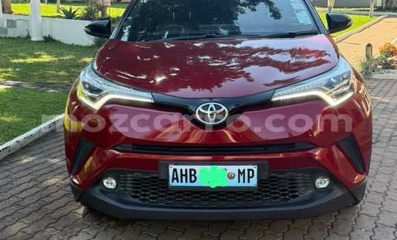 Nunua Mpya Toyota C-HR Nyekundu Gari ndani ya Maputo nchini Maputo Nunua Mpya Toyota C-HR Nyekundu Gari ndani ya Maputo nchini Maputo