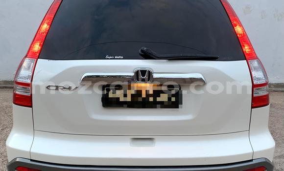 Comprar Usado Honda CR-V Branco Carro em Maputo em Maputo Comprar Usado Honda CR-V Branco Carro em Maputo em Maputo