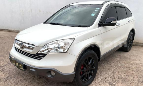 Comprar Usado Honda CR-V Branco Carro em Maputo em Maputo Comprar Usado Honda CR-V Branco Carro em Maputo em Maputo