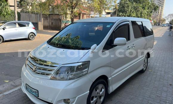Tenga Tsaru Toyota Alphard Chena Mota in Maputo in Maputo Tenga Tsaru Toyota Alphard Chena Mota in Maputo in Maputo