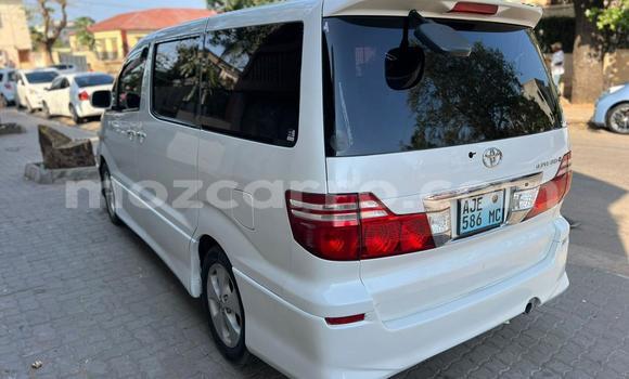 Tenga Tsaru Toyota Alphard Chena Mota in Maputo in Maputo Tenga Tsaru Toyota Alphard Chena Mota in Maputo in Maputo