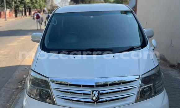 Tenga Tsaru Toyota Alphard Chena Mota in Maputo in Maputo Tenga Tsaru Toyota Alphard Chena Mota in Maputo in Maputo