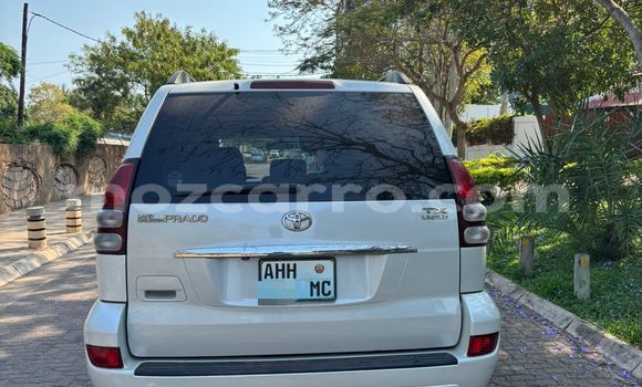 Tenga Tsaru Toyota Land Cruiser Prado Chena Mota in Maputo in Maputo Tenga Tsaru Toyota Land Cruiser Prado Chena Mota in Maputo in Maputo