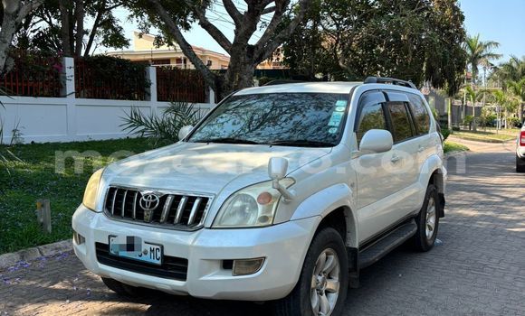 Tenga Tsaru Toyota Land Cruiser Prado Chena Mota in Maputo in Maputo Tenga Tsaru Toyota Land Cruiser Prado Chena Mota in Maputo in Maputo