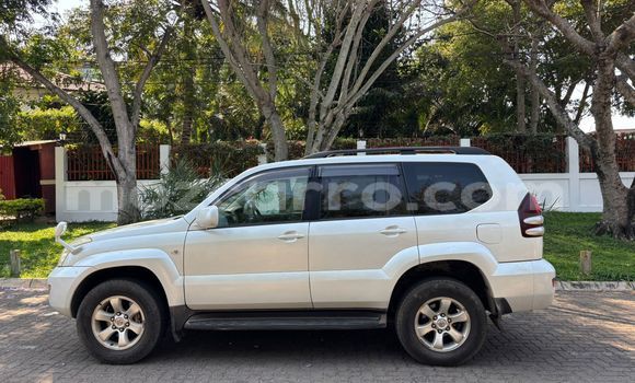 Tenga Tsaru Toyota Land Cruiser Prado Chena Mota in Maputo in Maputo Tenga Tsaru Toyota Land Cruiser Prado Chena Mota in Maputo in Maputo