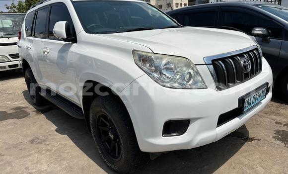Comprar Usado Toyota Land Cruiser Prado Branco Carro em Maputo em Maputo