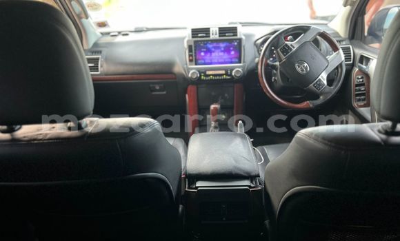 Tenga Tsaru Toyota Land Cruiser Prado Chena Mota in Maputo in Maputo Tenga Tsaru Toyota Land Cruiser Prado Chena Mota in Maputo in Maputo
