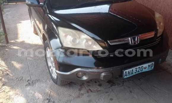 Buy Used Honda CR-V Black Car in Maputo in Maputo