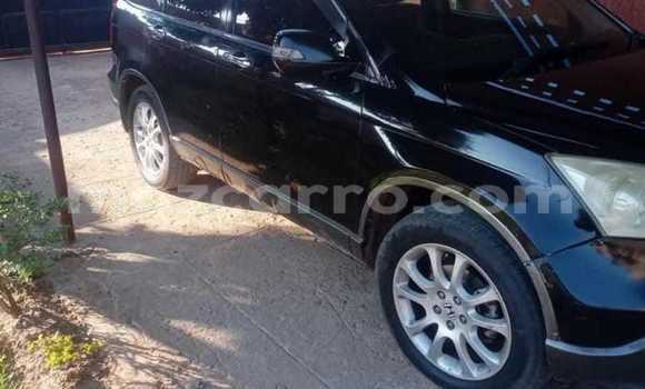 Tenga Tsaru Honda CR-V Nhema Mota in Maputo in Maputo Tenga Tsaru Honda CR-V Nhema Mota in Maputo in Maputo