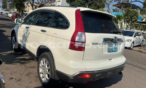 Tenga Tsaru Honda CR-X Chena Mota in Maputo in Maputo Tenga Tsaru Honda CR-X Chena Mota in Maputo in Maputo